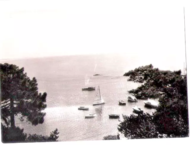 1959 Castiglioncello : Lotto 4 Foto Originali Rada Bagni Ausonia Scoglietto