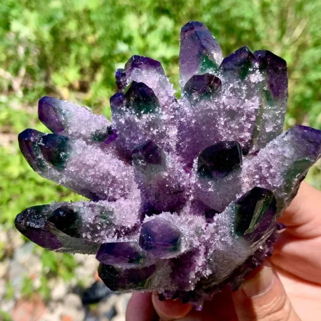 1.17LB New Find PURPLE PhantomQuartz Crystal Cluster MineralSpecimen