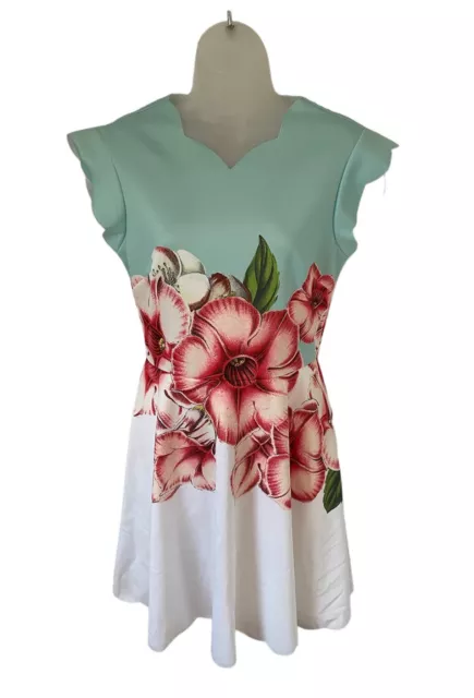TED BAKER MAEVEA Scalloped Floral Print Mint White Skater Dress Size 2 UK 10 50.00 PicClick UK