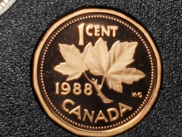 1988 CANADA  1 Cent Uncirculated Frosted Proof Copper Penny UNC