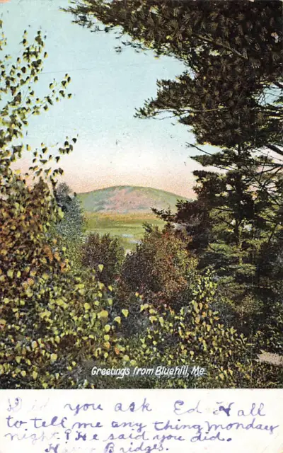 c1905 Greetings from Blue Hill Maine Scene Mountain  P71