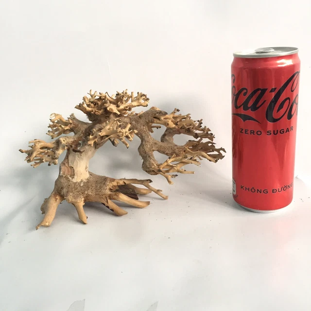 Bonsai driftwood moss tree for aquarium decor planted tank freshwater shrimp-S11