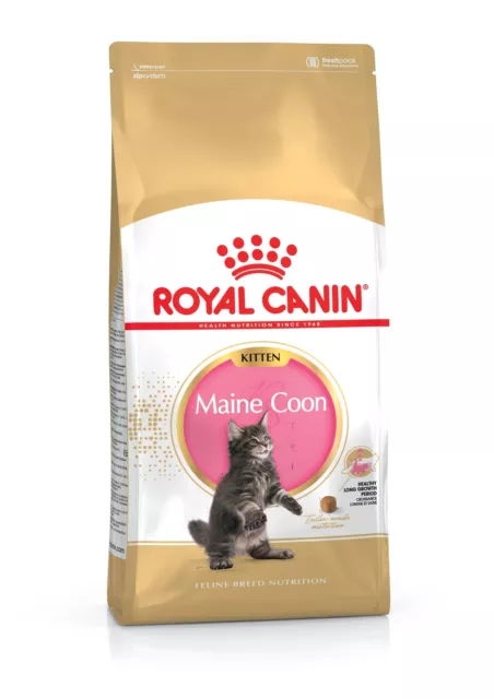 Maine Coon Kitten Dry Food, 4kg