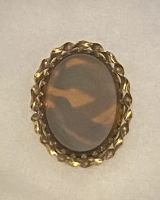 Vintage Signed Western German Gold Tone Tortoise Shell Glass Brooch Gorgeous