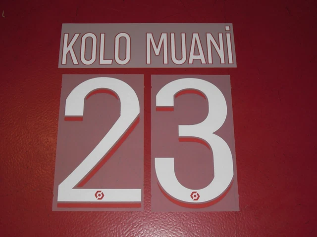 Name Set Flocage Officiel Skriniar Psg Home (Maillot Marine