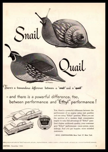 1950 Ethyl Gas New York Snail Quail A. Singer Art Vintage Print Ad