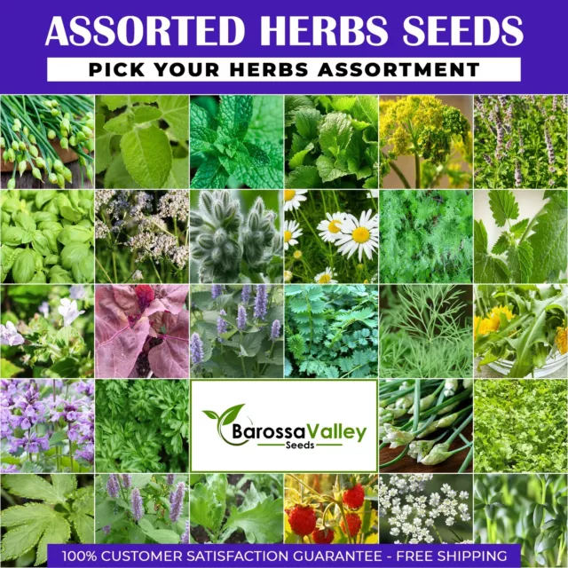 Medicinal HERBS GARDEN SEEDS "CHOOSE YOUR HERBS VARIETY" Herbal Remedy Tea