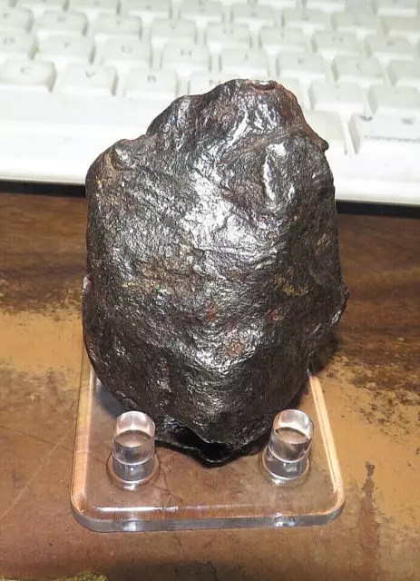 236 GM. Egypt Gebel Kamil Iron meteorite complete individual W/ STAND; RARE;.52#