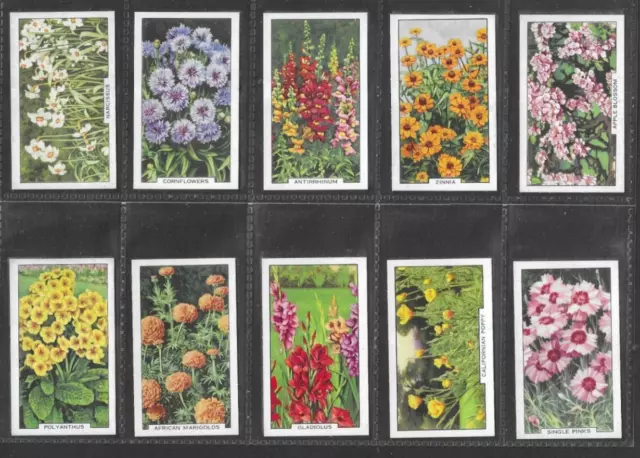 Cigarette Cards Gallaher 1938  Garden Flowers - Full Set