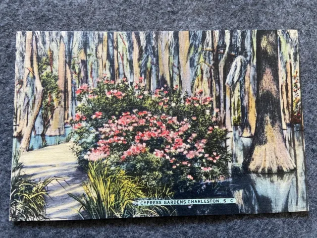 Cypress Gardens, Charleston South Carolina Vintage Postcard