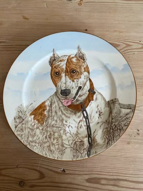 Rare Antique Pit Bull Terrier Oil Painting Dog Plate 1905 G Pedersen Cauldon