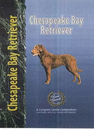 Chesapeake Bay Retriever - Hardcover By Bauer, Nona Kilgore - GOOD