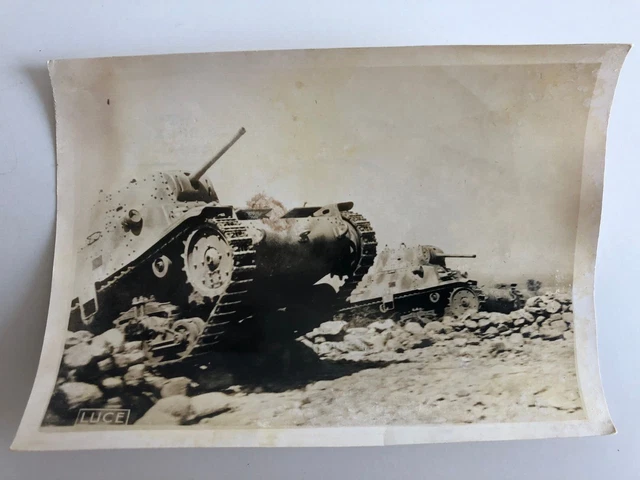 PANZER ITALIENISCHE BATAILLE De Marmarique Foto Presse Original