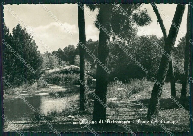 Lucca Pietrasanta Marina di Foto FG cartolina KV7964