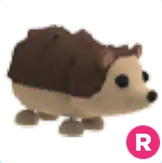 Hedgehog rescue near me sales