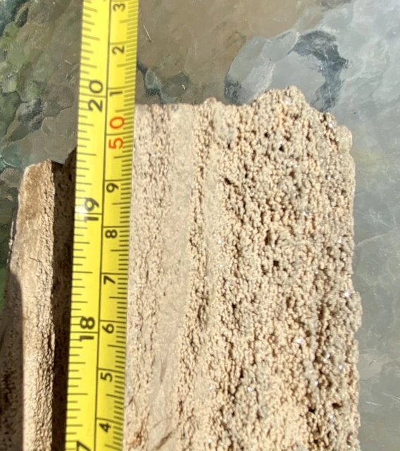 IMPRESSIVE* 29.11 Lb Petrified Fossil Wood Log Covered In Large Druzy-Over 20” L 5
