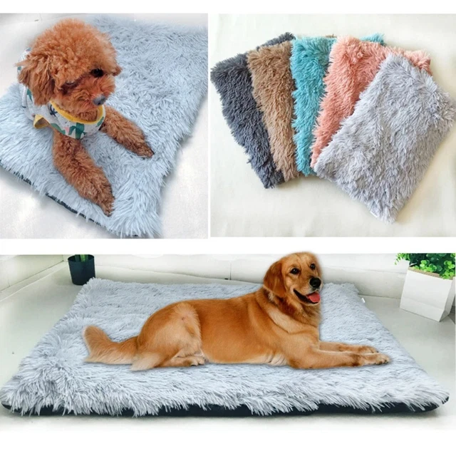 Couvre-lit imperméable à l'eau Animaux de compagnie lavables Chien Chat  Enfants Urine Pad Drap de lit Housses matelas matelassées antidérapantes  Protecteur de matelas