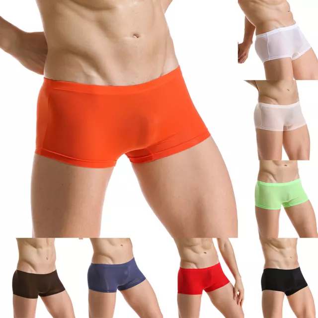 Men's Sexy Underwear Bulge Pouch Underpants Low Rise Trunks Short Leg Boxer  Briefs 