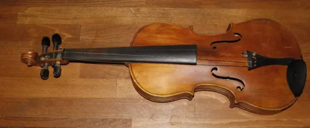 violin