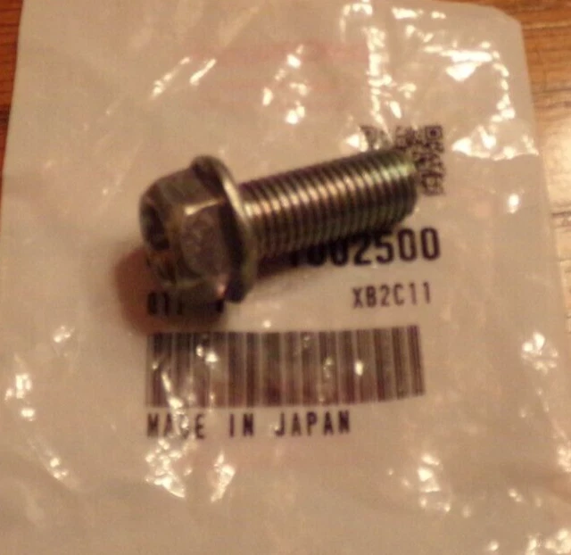 Honda Footpeg, Exhaust Muffler Mounting Bolt 96300-10025-00, 350X, 200X, 250R