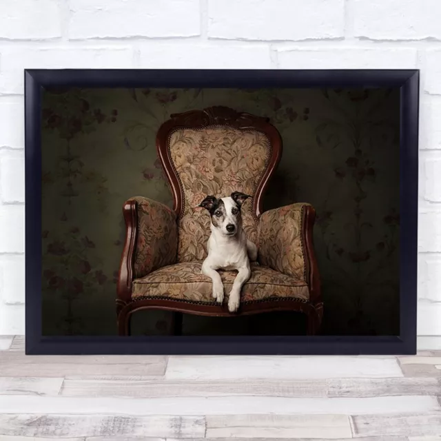 Lady Molly Dogs Dog Studio Animal Animals Chair Armchair Cute Vintage Art Print