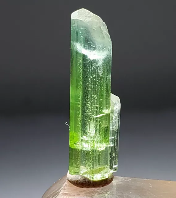 Top Apple Green Gemmy Tourmaline Crystal From Afghanistan