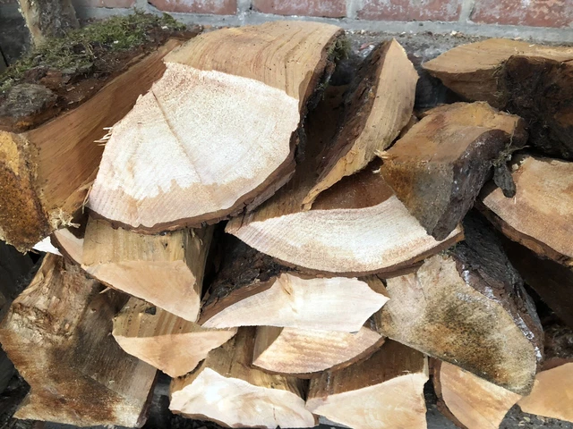 Erle Holz 10 kg BBQ Smoker Wood Räucherholz Grillholz Fisch räuchern