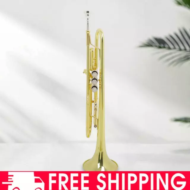 Professional Trumpet Creative Bb B Flat Trumpet Instrument for Student Beginners