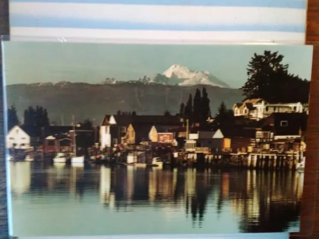 Vintage Post Card  Aerial View Over Laconner  Washington