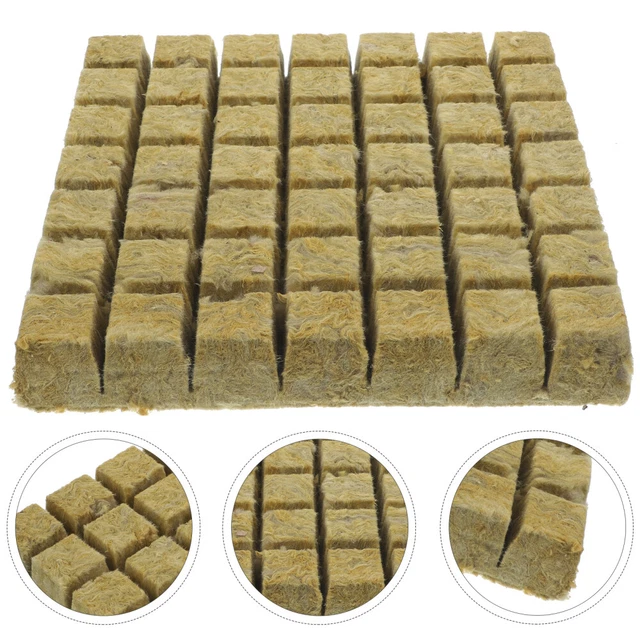 SPORTARC Hydroponics - Set di 30 spugne idroponiche per piante e giardini, decorazioni per la casa e piante (30 set di coltura