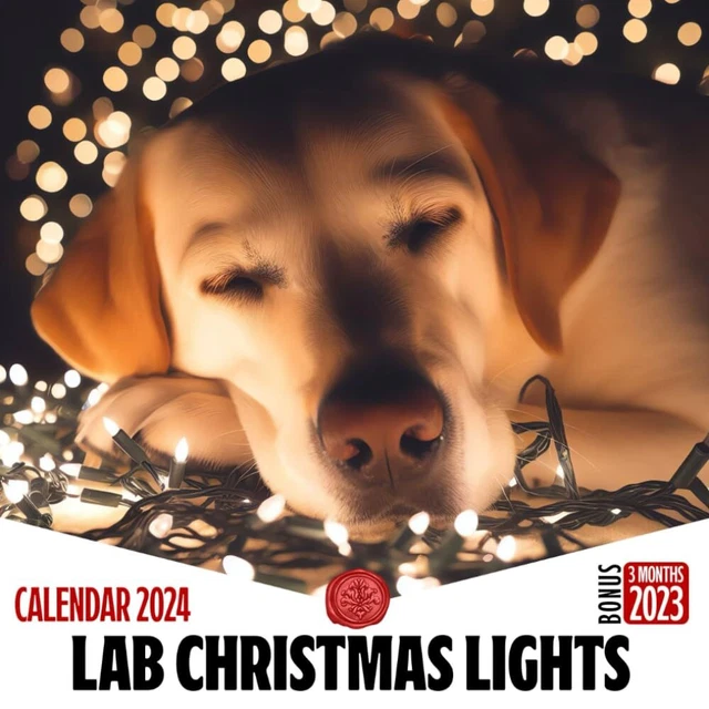 LAB CHRISTMAS LIGHTS Calendar 2024 Jan 2024 to Dec 2024 Bonus 3 Months