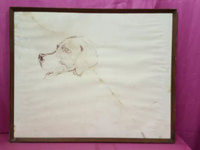 Paolo Golinelli disegno "schizzo cane"  cm. 47x59 drawing C5 ^