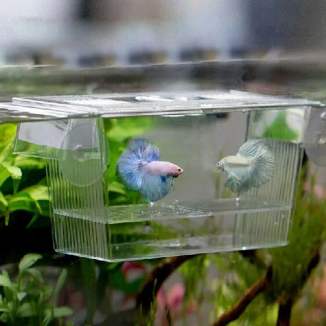 Aquarium Fish Tank Guppy Double Breeding Breeder Rearing Trap Box Hatch npLD`OZ