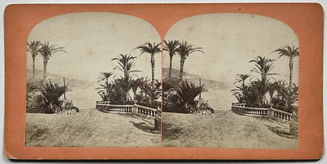 Monaco Monte-Carlo Garten C1870 Vintage Albumin stereo photos