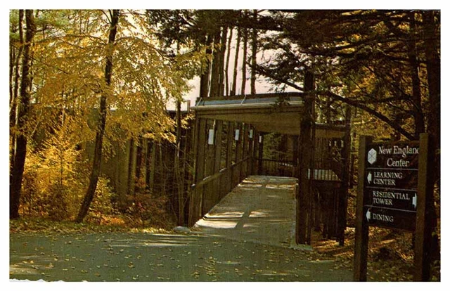 Postcard ROAD SCENE Durham New Hampshire NH AT6303