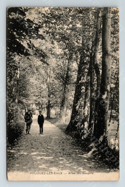 Wd2 Postcard Early 1900's Pougues Les Equx Allee des Coupirs 045a