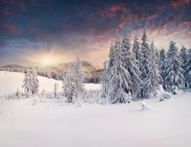 Schöne Winterlandschaft in den Bergen. Sonnenuntergang (15844139)