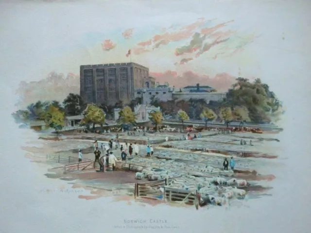 Norwich Castle & Cattle Market (c1895) Original viktorianischer Farbdruck - Norfolk
