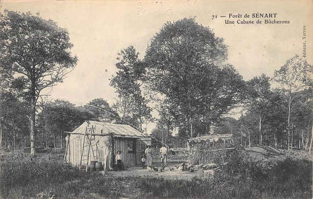 Cpa 91 Foret De Senart / Une Cabane De Bucherons / Metier