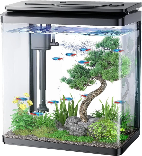 3 Gallon Glass Aquarium Fish Tank with with Thermometer and Filter 7 LED Lights