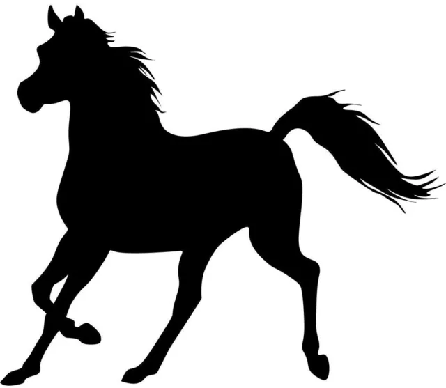 Aufkleber Pferd - Pferdeaufkleber- Aufkleber Pferdehänger - Aufkleber Araber #18