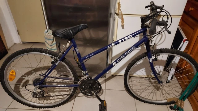 Vélo Ancien Dame Alcyon Années 1910-1920 - Selle Cicca - Occasion Fonctionnelle - Vintage Français