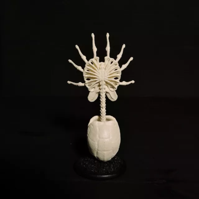 Squelette Facehugger - Un hommage squelettique à HR Giger et la franchise Alien 3