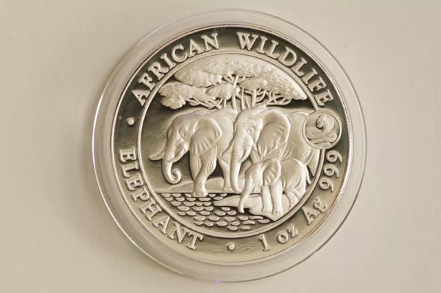 2013 Snake Privy Elephant 1 oz Silver Bullion Coin 999 African Wildlife (2303)