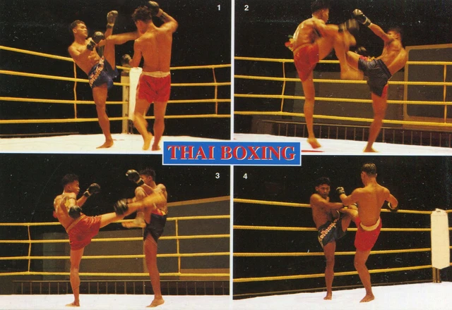 BOXE LOT DE cartes sur le Thai Boxing Boxeurs sur le ring EUR