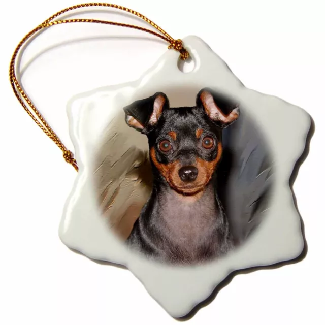 3dRose Miniature Pinscher 3 inch Snowflake Porcelain Ornament