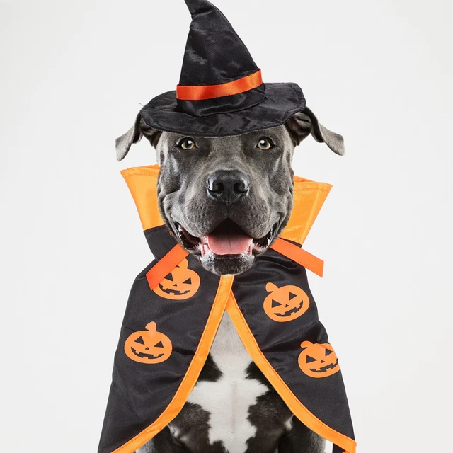 lounge sets 1 Satz von Haustier-Kostüm-Hut-Mantel-Set-Katzenhund-Cosplay-Stüt 7