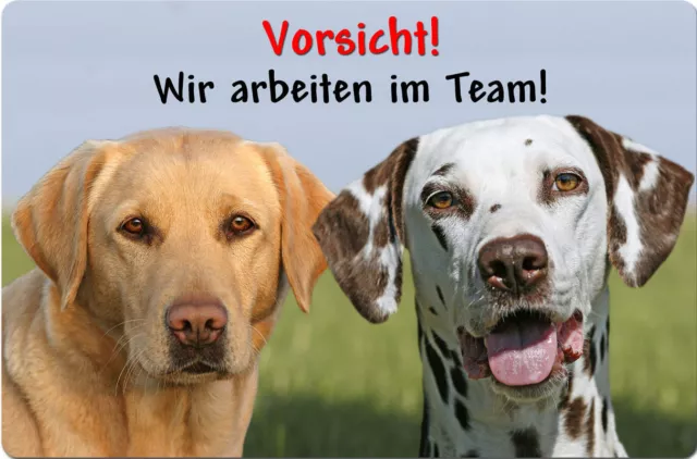 LABRADOR & DALMATINER - A4 Metall Warnschild SCHILD Hundeschild - LAB 61 T16 BLO