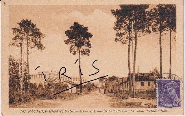 Andernos-les-Bains / Plage de la Jetée - Présentation et avis des voyageurs