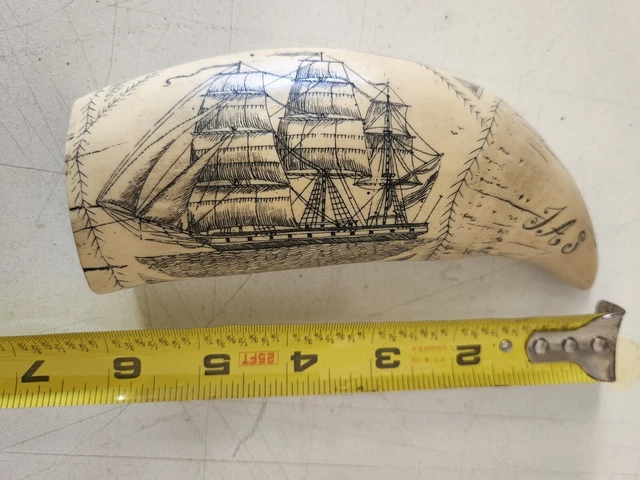 Scrimshaw Walrus Tusk “The Comet" 1831 Vintage Resin Replica (Very Realistic)